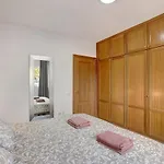 Palmar D10