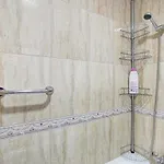 Palmar D10 *
