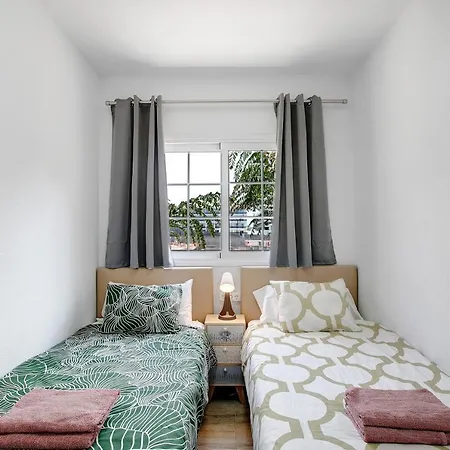 Palmar D10 팔름-마르